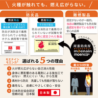 難燃パイル ミニ タオルハンカチ 白 難燃紡績糸使用
