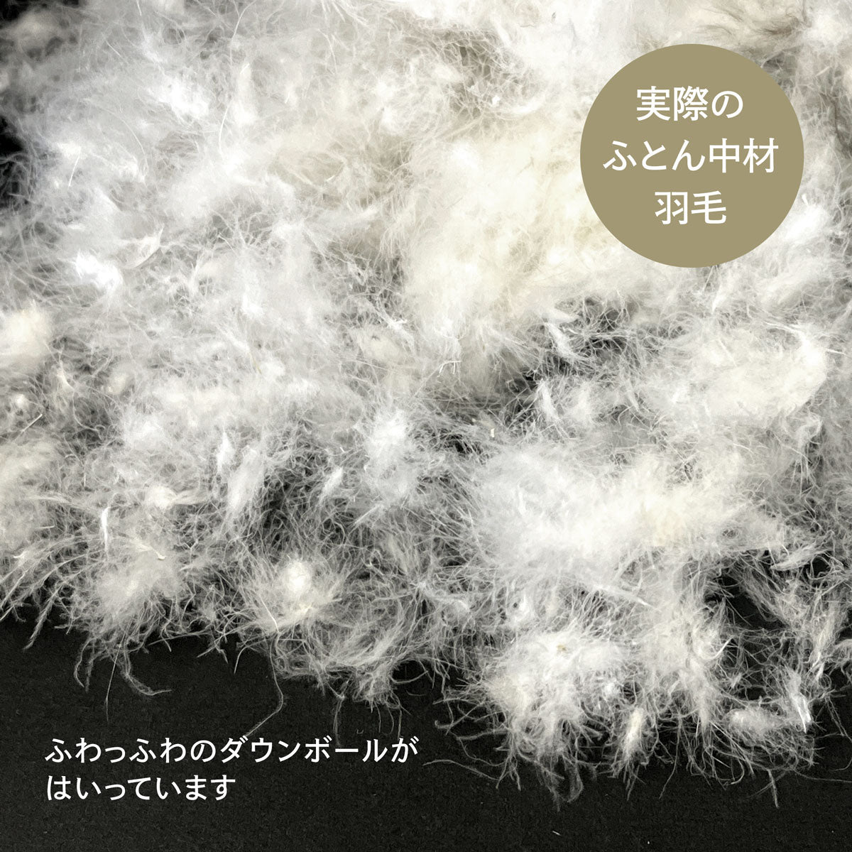 【chai プロ必読願います】エコダウン　羽毛布団　シングル　2枚セット imgrc0100412638.jpg